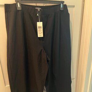 Eileen Fisher Straight Pant, Black Size 2X
